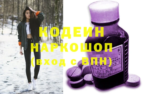молекула духа Бронницы