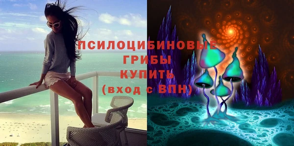 молекула духа Бронницы