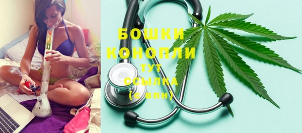 молекула духа Бронницы