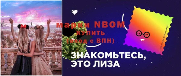 молекула духа Бронницы