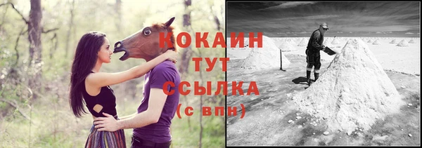 молекула духа Бронницы