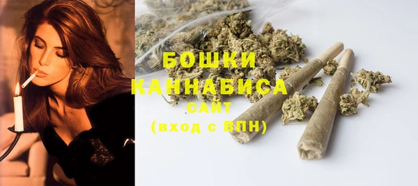 молекула духа Бронницы