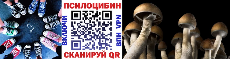 наркошоп  Иноземцево  Псилоцибиновые грибы Cubensis 